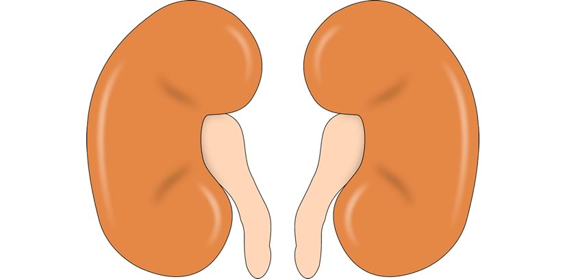 Kidney Cancer: Prevent & Diagnose Early