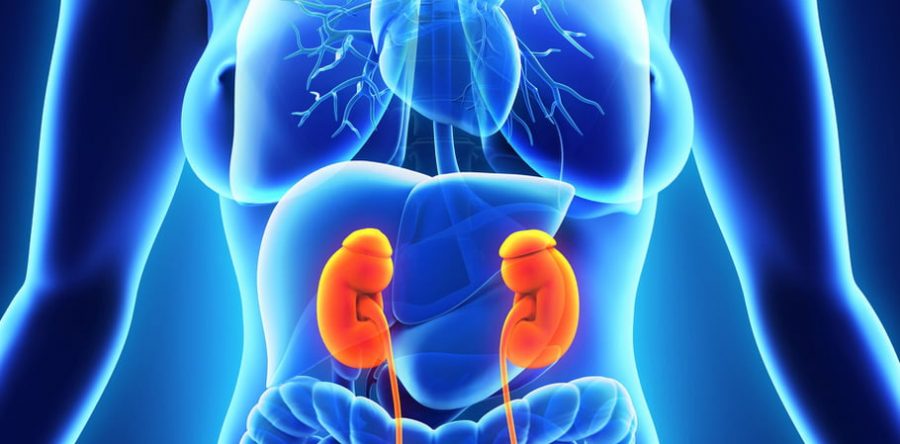 Kidney Cysts Treatments