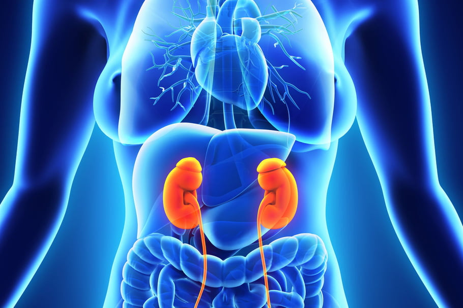 ney Cysts treatments Omaha | Adult & Pediatric Urology | Urologists