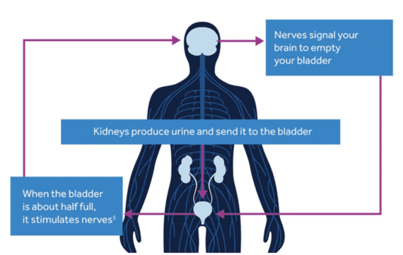 WHY ARE MEDTRONIC THERAPIES DIFFERENT?
