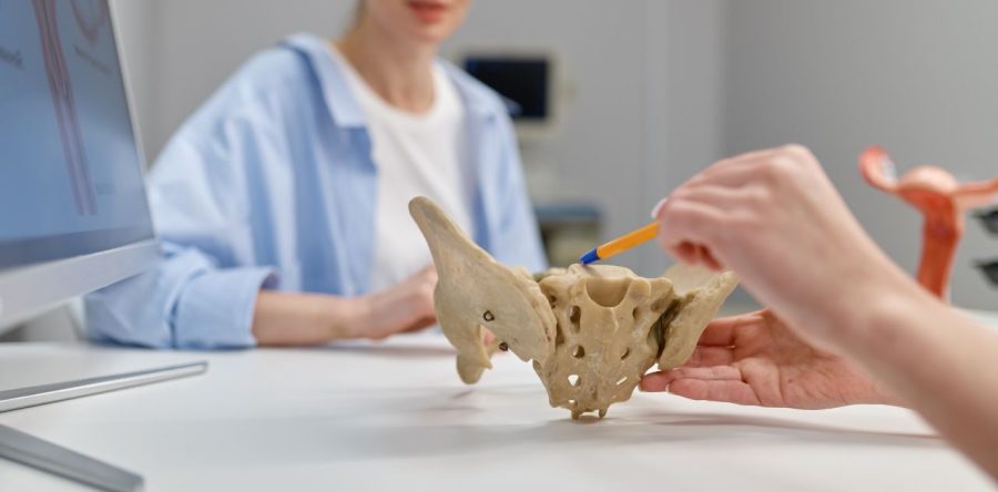 Guest Blog: Urologic Health and Pelvic Floor Physical Therapy