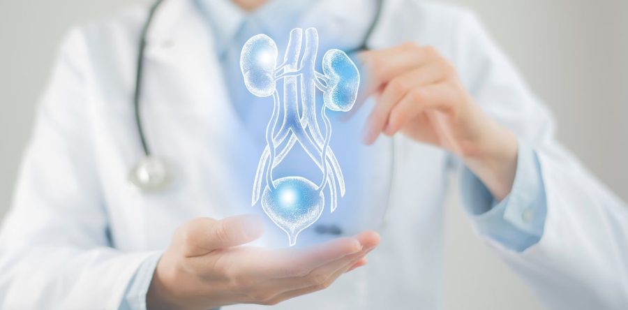 Understanding Bladder Cancer Staging