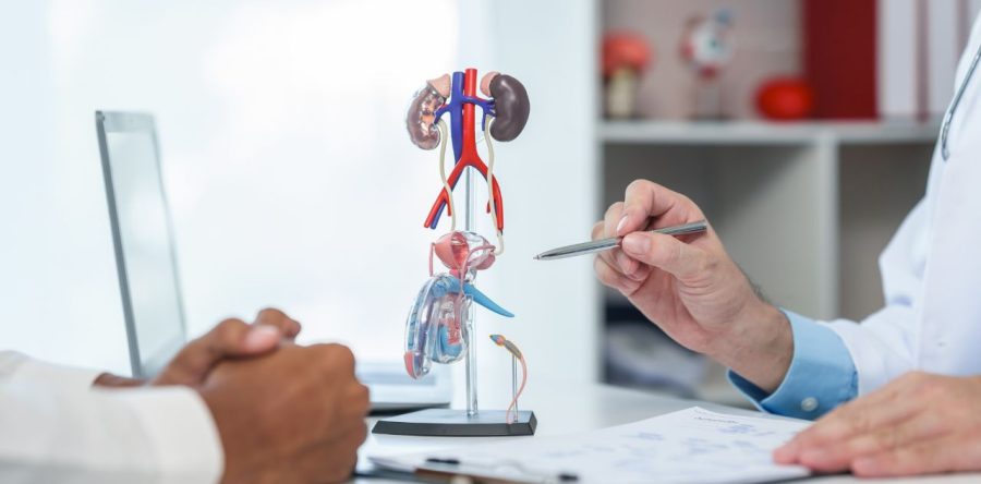 Understanding Prostate Cancer Stages