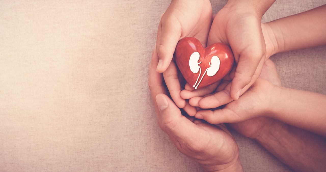 Kidneys Matter: Why These Bean-Shaped Organs Deserve More Love